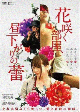 脚手架上的春天 封面